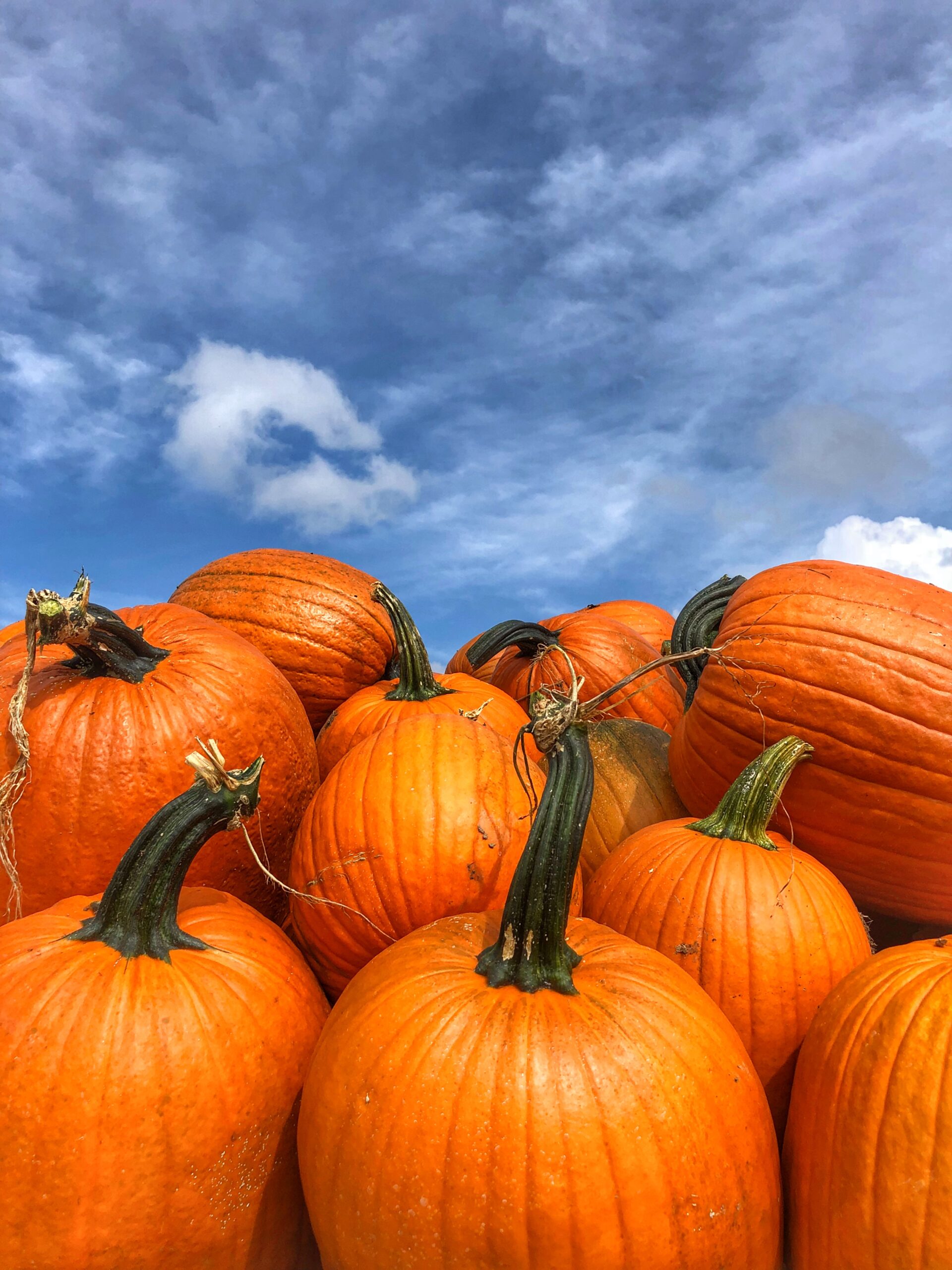 Gaver Farm, LLC photo 22