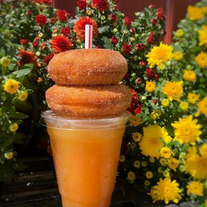 Two Donuts on a Cider Slushee from the concession stand at Gaver Farm