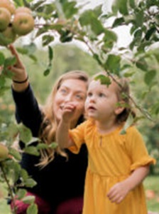 Small child and mother picking apples at Gaver Farm